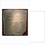 Assyrian warriors, 8th century BC by Anonymous