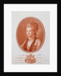 Portrait of Princess Yekaterina Romanovna Vorontsova-Dashkova, 1777 by Anonymous