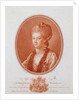 Portrait of Princess Yekaterina Romanovna Vorontsova-Dashkova, 1777 by Anonymous