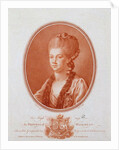 Portrait of Princess Yekaterina Romanovna Vorontsova-Dashkova, 1777 by Anonymous