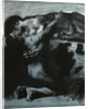 Kiss of a Sphinx, between 1890 and 1914 by Anonymous