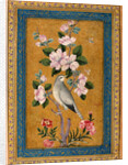 Bird Perching on a Blossoming Branch, 1696 by Anonymous