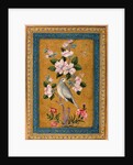 Bird Perching on a Blossoming Branch, 1696 by Anonymous