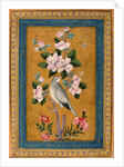 Bird Perching on a Blossoming Branch, 1696 by Anonymous