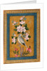 Bird Perching on a Blossoming Branch, 1696 by Anonymous