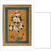 Bird Perching on a Blossoming Branch, 1696 by Anonymous