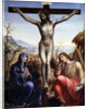 The Crucifixion with the Virgin and John the Baptist, c1540. by Sodoma