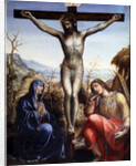 The Crucifixion with the Virgin and John the Baptist, c1540. by Sodoma