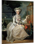 Young Lady at a Cage, 1784 by Jean-Baptiste Charpentier the elder