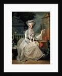 Young Lady at a Cage, 1784 by Jean-Baptiste Charpentier the elder