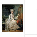 Young Lady at a Cage, 1784 by Jean-Baptiste Charpentier the elder