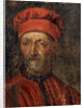 Portrait of Luca Pitti, early 16th century by Master of Florence