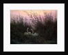 Swans in the Reeds, c1794-c1831 by Caspar David Friedrich