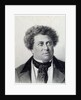 Portrait of the Author Alexandre Dumas, 19th century by Georg Wilhelm Timm