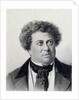 Portrait of the Author Alexandre Dumas, 19th century by Georg Wilhelm Timm