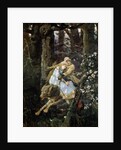 Tsarevich Ivan Riding the Grey Wolf, 1889 by Viktor Mihajlovic Vasnecov