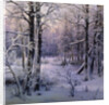 Hoarfrost, 1906. by Ivan Velz