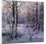 Hoarfrost, 1906. by Ivan Velz