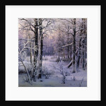 Hoarfrost, 1906. by Ivan Velz