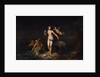 The Birth of Venus, 1729. by Dutch Master