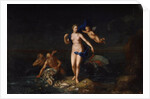 The Birth of Venus, 1729. by Dutch Master