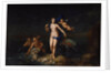 The Birth of Venus, 1729. by Dutch Master