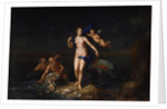 The Birth of Venus, 1729. by Dutch Master