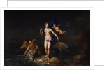 The Birth of Venus, 1729. by Dutch Master