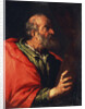 Head of an Old Man (the Apostle Peter?), 17th century by Bernardo Strozzi