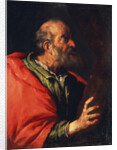 Head of an Old Man (the Apostle Peter?), 17th century by Bernardo Strozzi