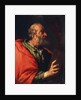 Head of an Old Man (the Apostle Peter?), 17th century by Bernardo Strozzi