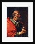 Head of an Old Man (the Apostle Peter?), 17th century by Bernardo Strozzi