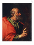 Head of an Old Man (the Apostle Peter?), 17th century by Bernardo Strozzi