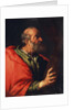 Head of an Old Man (the Apostle Peter?), 17th century by Bernardo Strozzi