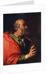Head of an Old Man (the Apostle Peter?), 17th century by Bernardo Strozzi