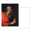 Head of an Old Man (the Apostle Peter?), 17th century by Bernardo Strozzi
