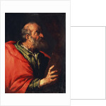 Head of an Old Man (the Apostle Peter?), 17th century by Bernardo Strozzi