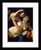 Venus and Adonis, 16th century. by Luca Cambiaso