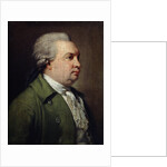 Portrait of the Dramatist Denis I Fonvizin, c1784-c1785 by Armand Charles Caraffe