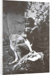 Marina Tsvetaeva with her dog. Savoy, 1930 by Anonymous