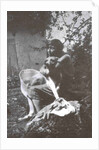 Marina Tsvetaeva with her dog. Savoy, 1930 by Anonymous