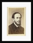Portrait of the writer and social critic Dmitry Pisarev, 1860s by Anonymous