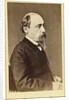 Portrait of the poet Nikolay Nekrasov, 1860s-1870s by Anonymous