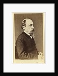 Portrait of the poet Nikolay Nekrasov, 1860s-1870s by Anonymous