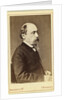 Portrait of the poet Nikolay Nekrasov, 1860s-1870s by Anonymous