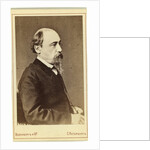 Portrait of the poet Nikolay Nekrasov, 1860s-1870s by Anonymous