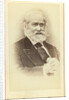 Portrait of the historian Sergey Mikhaylovich Solovyov by Anonymous