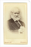 Portrait of the historian Sergey Mikhaylovich Solovyov by Anonymous