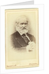 Portrait of the historian Sergey Mikhaylovich Solovyov by Anonymous