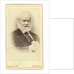 Portrait of the historian Sergey Mikhaylovich Solovyov by Anonymous